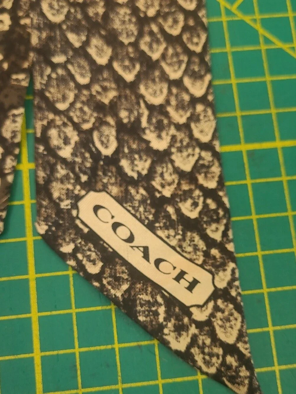 Coach Taylor  Black & White Snake-Print Silk Scarf Tie F83980